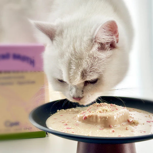 OPET Wet Cat Food Pate Bistro Box Serial Mixed 6 Flavors