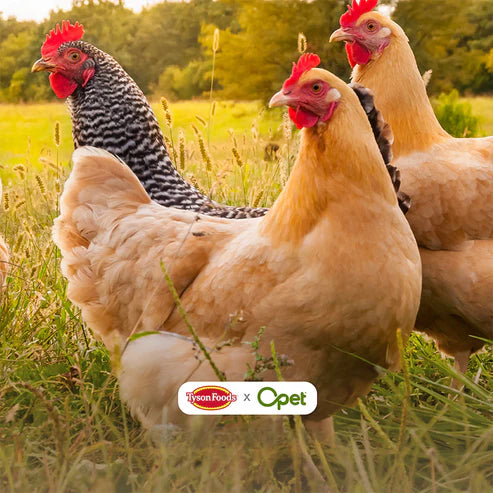 OPET Freeze-Dried Chicken Breast (60g/pack)