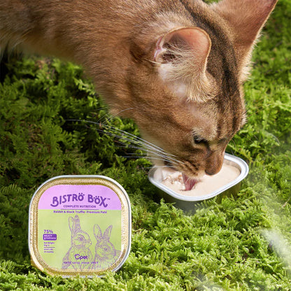 OPET Wet Cat Food Pate Bistro Box Serial Mixed 6 Flavors