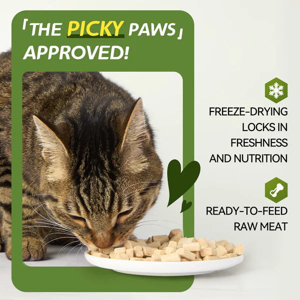 OPET Freeze Dried Pet Food for Cats & Dogs, Freezed Dried Chicken 283g (10 oz)